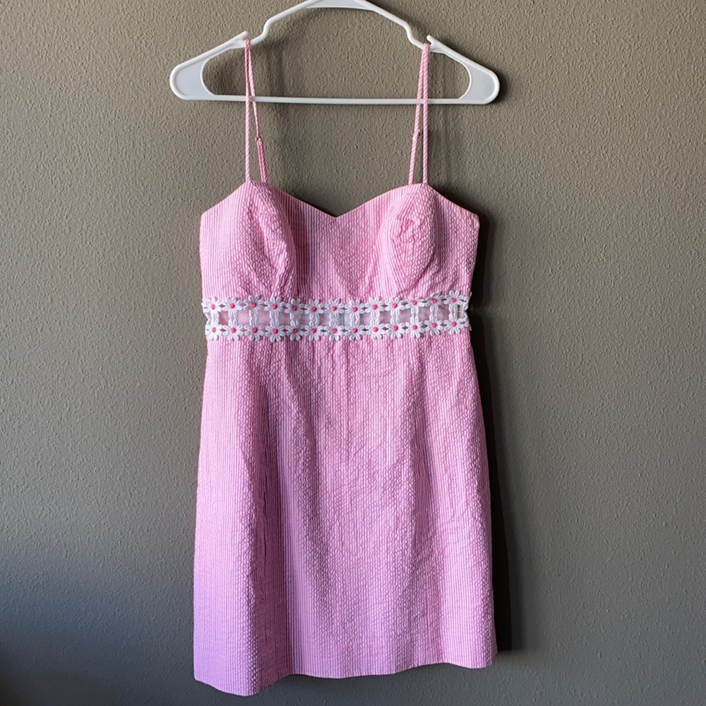 Adorable Lilly Pulitzer dress, warn only once! Perfect condition.